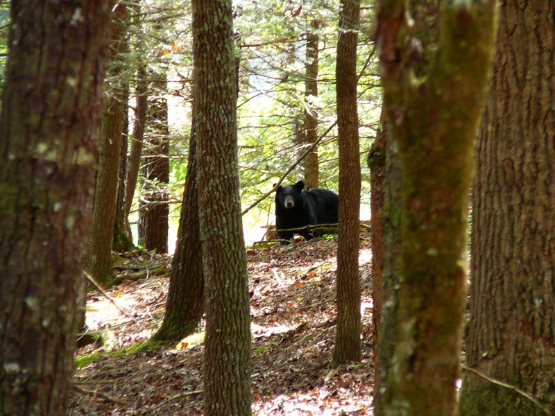 image05